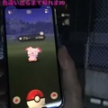 色違いエイパム実装！「名探偵ピカチュウ」コラボイベントで探し出せ【ポケモンGO 秋田局】