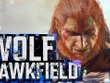 新作『バーチャファイター』ウルフの勇姿明らかに！ストーリー要素強化や他キャラのデザインの変化も示唆。さらに『VF5 R.E.V.O.』PS5/XSX|S/スイッチ2版、クロスプレイ対応で発売決定 画像