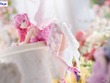 セクシー&キュートに蓋を押さえる！『勝利の女神：NIKKE』より「ドロシー」特別コスチューム「ノスタルジア」が、ぬーストフィギュアで6月第3週より展開 画像