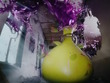 『ポケモンレジェンズZ-A』新たなメガシンカ「メガウツボット」発表！ 画像