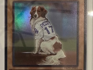 大谷翔平の愛犬・デコピン、遊戯王カードになる―KONAMIから粋なプレゼント！フレーバーテキストも素敵 画像