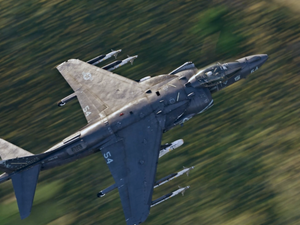 もはや風物詩？『War Thunder』公式フォーラムでまた非公開の軍事情報漏洩…「正確性」求めすぎたユーザーの行き過ぎ行動 画像