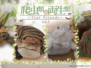 リアルで可愛い「一番くじ 爬虫類＆両生類」第2弾の全ラインナップ公開！ラストワン賞はペロッと舌を出したアオジタトカゲ 画像