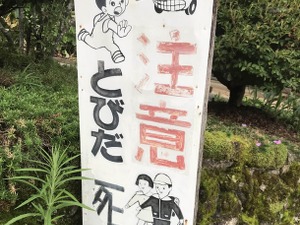 ゲーマーに運動は難し…くない！ずっとゲームで遊んでいる編集者＆ライターがオススメしたい“運動方法”をご紹介 画像