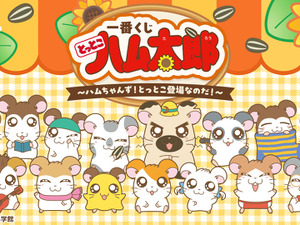 「とっとこハム太郎」新作一番くじの全ラインナップ公開！こうしくん、リボンちゃんたち5人のぬいぐるみや、皆でお昼寝するティッシュケースが可愛い 画像