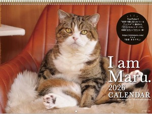 世界を魅了した「すべりこむ猫」まるちゃん　癒やし満載の2026年版カレンダーが登場！ 画像