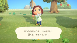 『あつまれ どうぶつの森』GWはおうちで生き物を触れ合おう！リアルになったグラフィックを使えば家族でクイズが楽しめる