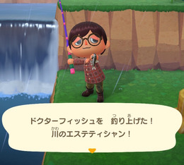 川のエステティシャン！『あつまれどうぶつの森』で釣れる「ドクターフィッシュ」ってどんな魚？【平坂寛の『あつ森』博物誌】