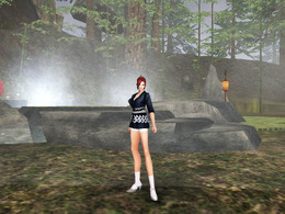 (c)2007 YNKJAPAN Inc.(c)2005-2007 YNKGAMES Co., Ltd.