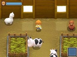 牧場物語 ふたごの村