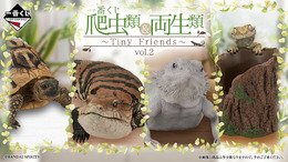 リアルで可愛い「一番くじ 爬虫類＆両生類」第2弾の全ラインナップ公開！ラストワン賞はペロッと舌を出したアオジタトカゲ