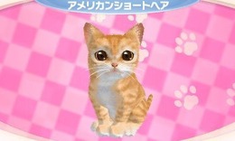 かわいい子猫３Ｄ
