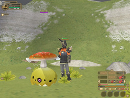 『モンスターファームオンライン』倉庫拡張アイテム販売開始！