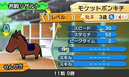 ソリティ馬