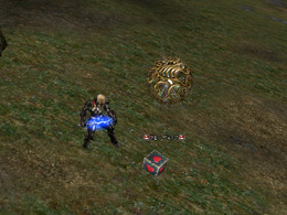 Lineage II(R) and  Lineage II(R) the Chaotic Throne are  trademarks of NCsoft Corporation. 2003-2007 (C) Copyright NCsoft Corporation. NC Japan K.K. was granted by NCsoft Corporation the right to publish, distribute, and transmit Lineage II the Chaotic Throne in Japan. All Rights Reserved.