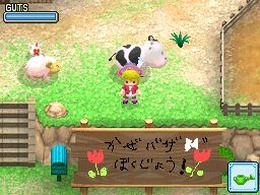 牧場物語 ようこそ!風のバザールへ