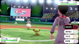 『ポケモン ソード・シールド』伝説含む新ポケモンや登場キャラ達がお披露目!新要素「ダイマックス」でバトルもより刺激的に進化【Directまとめ】