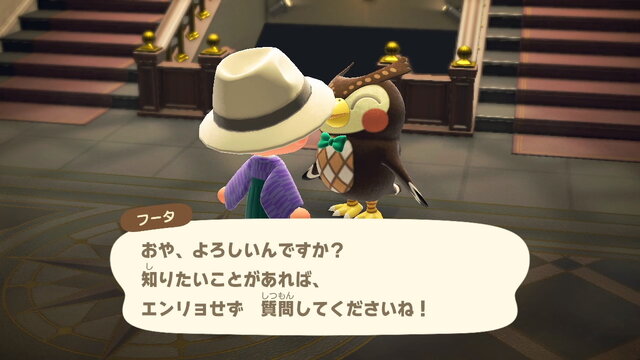 『あつまれ どうぶつの森』島一番の超人「フータ」の凄さに注目！ 膨大な知識で激務をこなすスーパーフクロウ