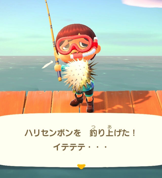 実は“針三百本”！？『あつまれ どうぶつの森』で釣れるハリセンボンってどんな魚？【平坂寛の『あつ森』博物誌】