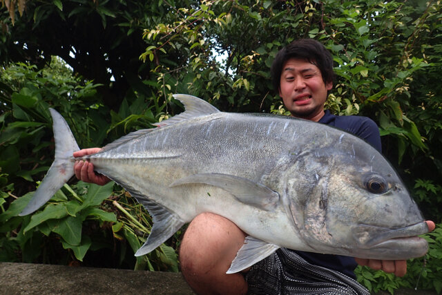 人間サイズの巨大アジ！！『あつまれ どうぶつの森』で釣れるロウニンアジってどんな魚？【平坂寛の『あつ森』博物誌】