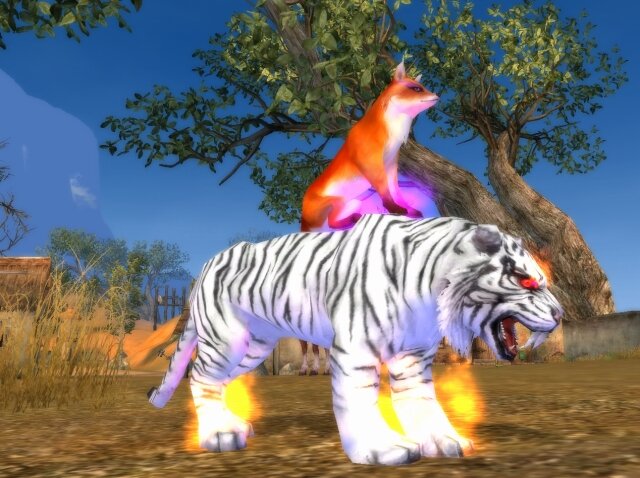 【インタビュー】初心者でも楽しめる！女性も半数近く登録のMMORPG『パーフェクトワールド』