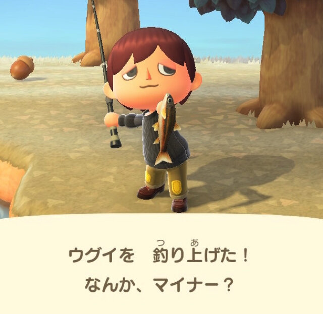 地味になったり派手になったり…『あつまれ どうぶつの森』で釣れる「ウグイ」ってどんな魚？【平坂寛の『あつ森』博物誌】