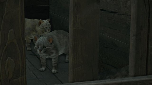 2022年2月22日は「スーパー猫の日」！ツシマの野生ネコから猫耳メイドまで、“猫”関連記事をピックアップ