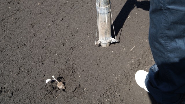 実際の農業を『ハーヴェステラ』で役立てろ！？編集部がフィジカルで伝える農作業の攻略法【生活編】