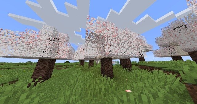 『マインクラフト』次期アプデ「桜の木」追加で「竹MOD」がTwitterトレンド入り―“かつての桜の木”を思い出すユーザーたちが続出