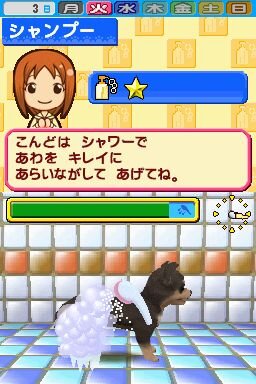 ペットショップ物語 DS 2