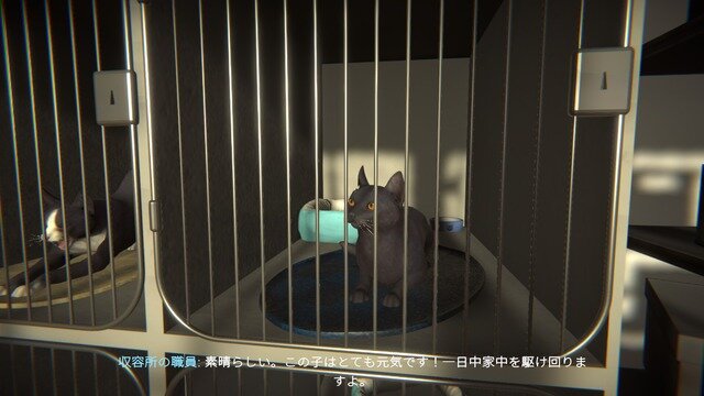 居場所を奪われたネコがオーストラリアの街をさまよう愛と孤独のADV『Copycat』Steamでデモ版を配信