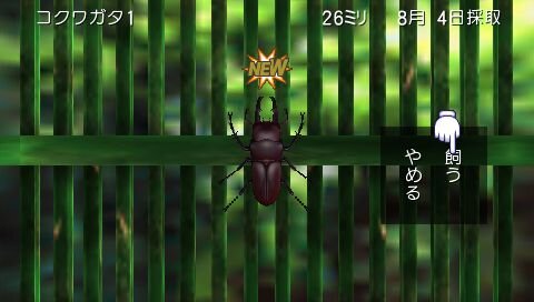 ぼくのなつやすみポータブル2 ナゾナゾ姉妹と沈没船の秘密!