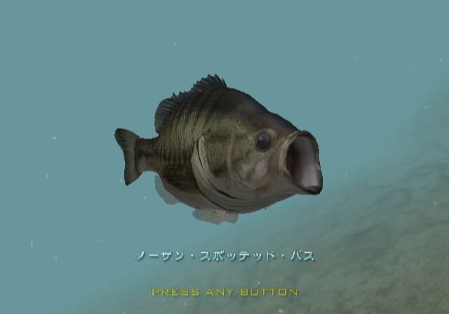 バスフィッシングWii ワールドトーナメント