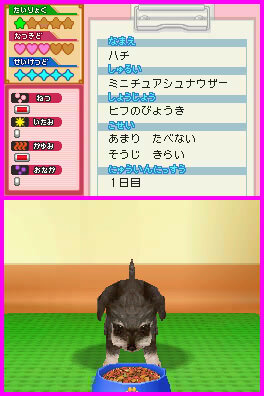 わんニャンどうぶつ病院