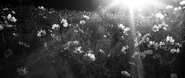 四季映姫／『東方Project』翠葉木（X:@310re45）【Leica M3+周Elcan+ILFORD DELTA3200】
