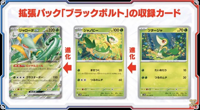 『ポケカ』新弾「ブラックボルト/ホワイトフレア」初公開！イッシュ地方の156匹がAR/SARで勢揃いする超豪華パック
