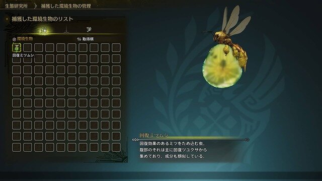 『モンハンワイルズ』5月28日アップデート詳細が公開！豪鬼登場、武器バランス調整、★8モンスター追加。“武器重ね着”などは第2弾タイトルアップデートで実装へ
