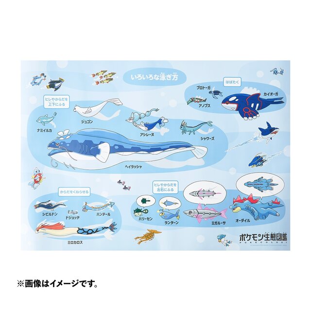 書籍「ポケモン生態図鑑」テーマのグッズが“学びと発見”盛り沢山！ジャポニカスケッチブックや、くるくるアニメのペーパークラフトなど