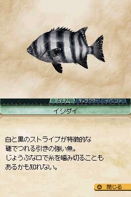 サバイバルキッズ 小さな島の大きな秘密!?