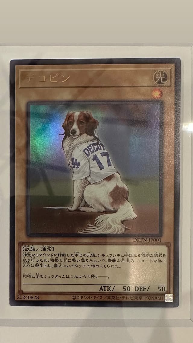 ※画像は大谷翔平選手のInstagramより引用。