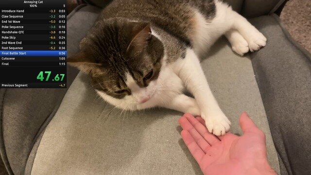 飼い猫でのRTA挑戦で数々の世界記録達成―数カ月に渡り謎カテゴリーを生み出しつづけるスピードランナー