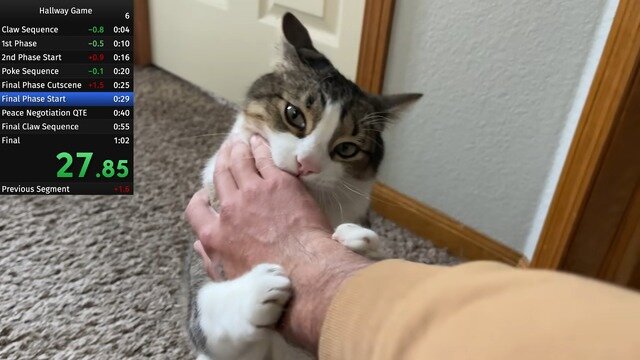 飼い猫でのRTA挑戦で数々の世界記録達成―数カ月に渡り謎カテゴリーを生み出しつづけるスピードランナー