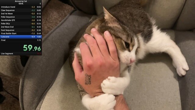 飼い猫でのRTA挑戦で数々の世界記録達成―数カ月に渡り謎カテゴリーを生み出しつづけるスピードランナー