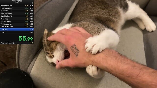 飼い猫でのRTA挑戦で数々の世界記録達成―数カ月に渡り謎カテゴリーを生み出しつづけるスピードランナー
