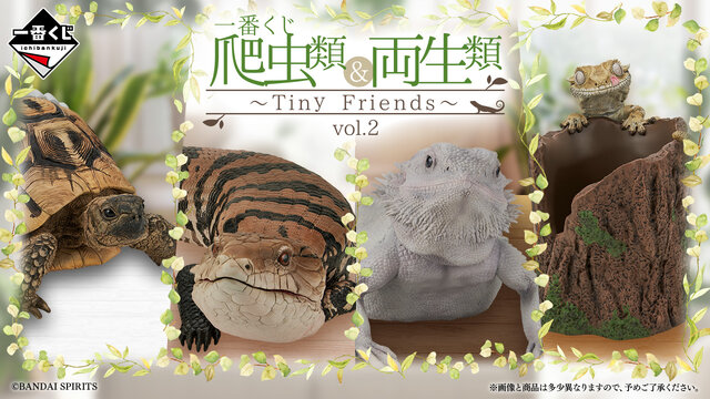 リアルで可愛い「一番くじ 爬虫類＆両生類」第2弾の全ラインナップ公開！ラストワン賞はペロッと舌を出したアオジタトカゲ