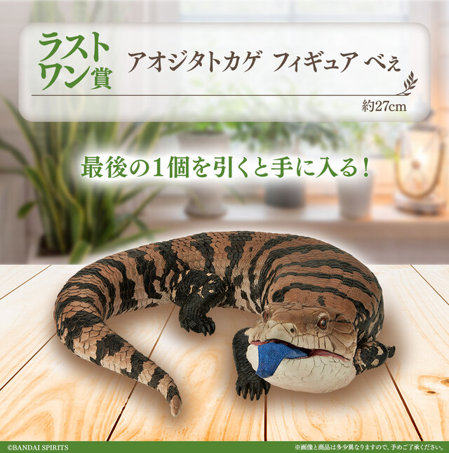 リアルで可愛い「一番くじ 爬虫類＆両生類」第2弾！ラストワン賞はペロッと舌を出したアオジタトカゲ