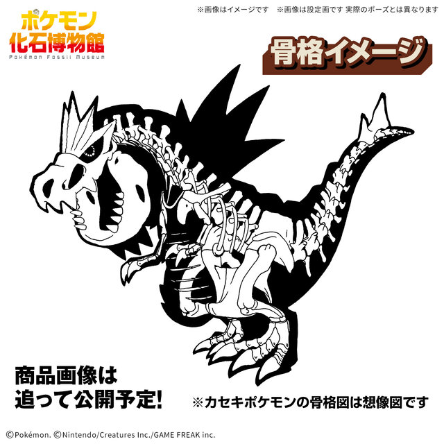 ポケモンを“骨格”から組み立てられる！ 「カセキポケモンシリーズ」よりプテラ、ガチゴラスが26年2月発売