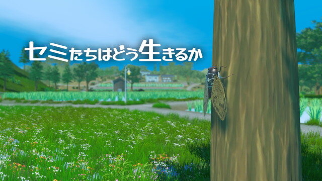 “セミ”オープンワールド『セミたちはどう生きるか』Steamで発売―生命力が減り続ける中で空から見下ろす日本の田舎