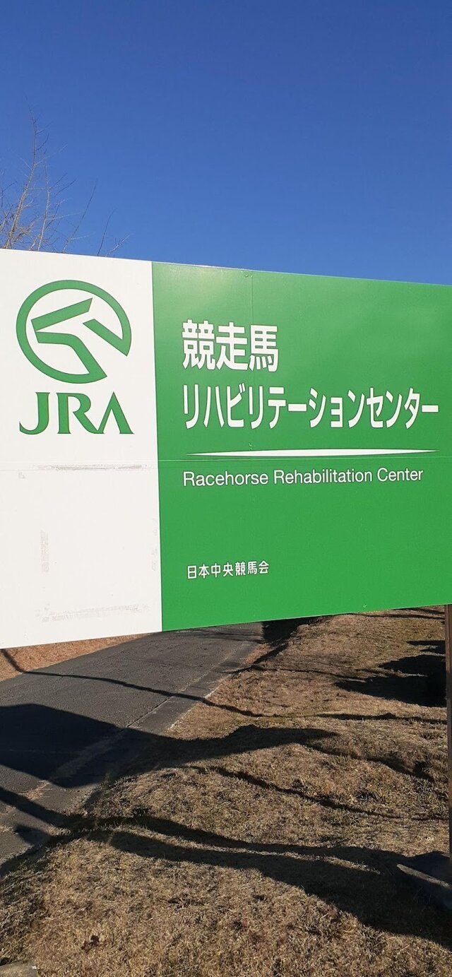 『ウマ娘』新シナリオ「温泉郷編」は、休むことで強くなる！？ ノスタルジックな昭和歌謡にも注目【先行体験レポ】