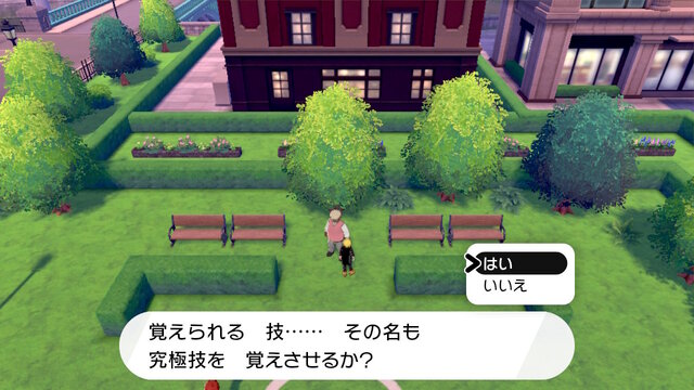 ※画像は『ポケットモンスター ソード・シールド』のもの。